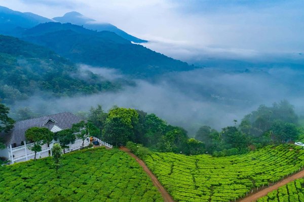 Munnar